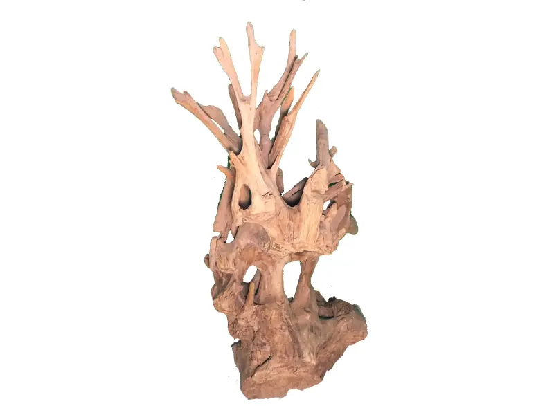 Product image 1 of the product “Deco from teak root. Approx. 145cm height ”